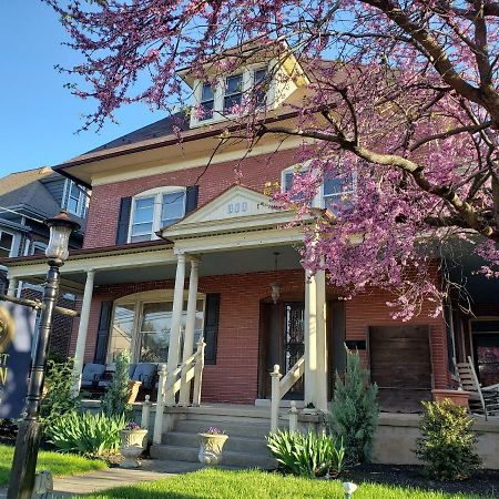 Harvest Moon Bed & Breakfast 新荷兰 外观 照片